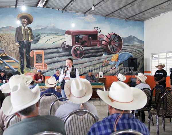 Eréndira Castellanos pide a productores del campo ser su representante en Congreso