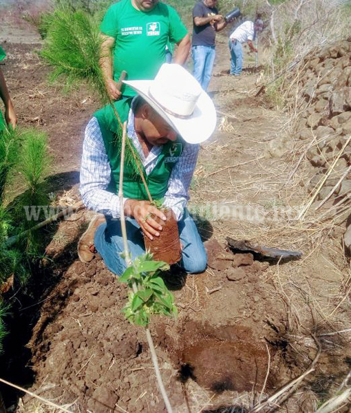 Isidoro Mosqueda compromete constantes acciones de reforestación en Jacona