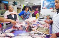 Cae la venta de peces y mariscos en zona del Mercado Hidalgo