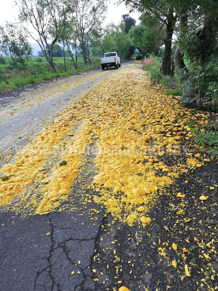 Ya hay denuncia ante la PROAM por tiraderos ilegales de desperdicio de mango
