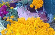 Disminuyó invasión de floristas de otros estados en calles del mercado Hidalgo