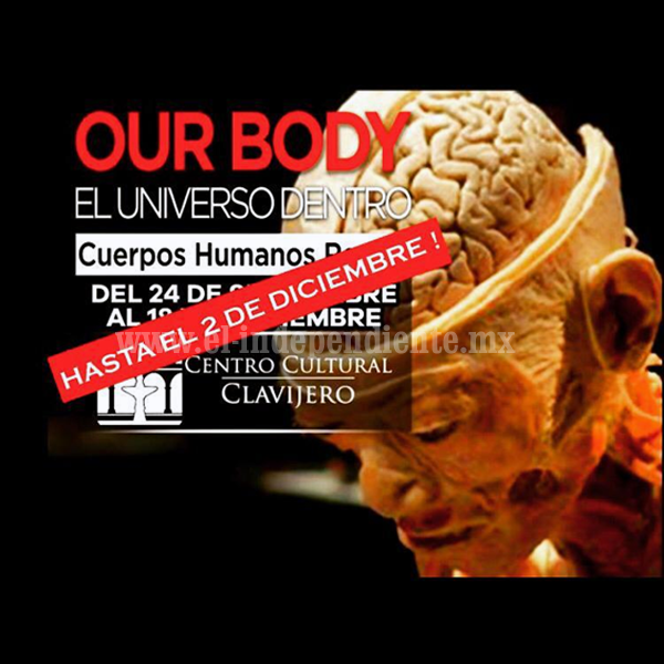 “Our Body, El Universo Dentro”, se queda en el Clavijero hasta el 2 de diciembre