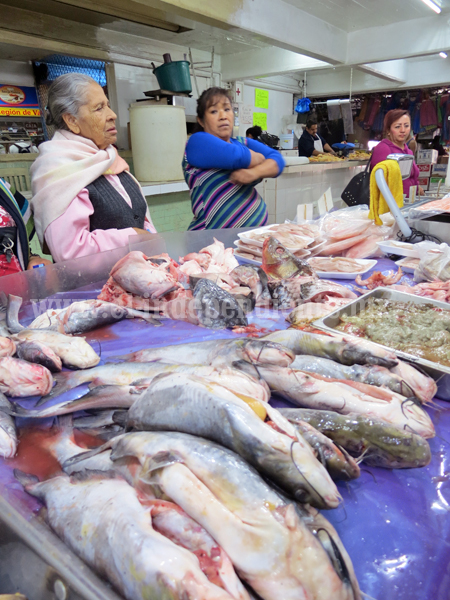 COEPRIS capacita a propietarios  de pescaderías y restaurantes