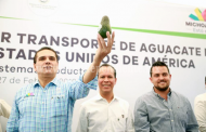 Zitácuaro, primer municipio del Oriente del estado en exportar aguacate a EU