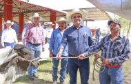 Consolidar el potencial ganadero de Michoacán, el reto: Gobernador