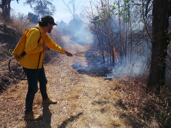 Hasta 9 años de cárcel a quien provoque incendios forestales: Semaccdet