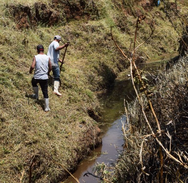 Inician actividades de limpieza en ríos de Tangancícuaro