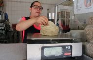 Recobra fuerza idea de incremento en precio de kilo de tortillas en municipio