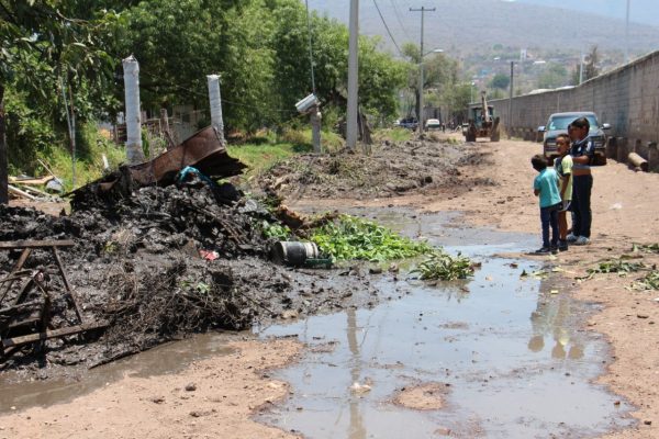 Piden al Ayuntamiento de Zamora no solapar invasores de canales de riego