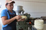 Industriales determinan congelar precio de la tortilla