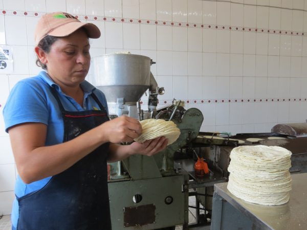 Industriales determinan congelar precio de la tortilla