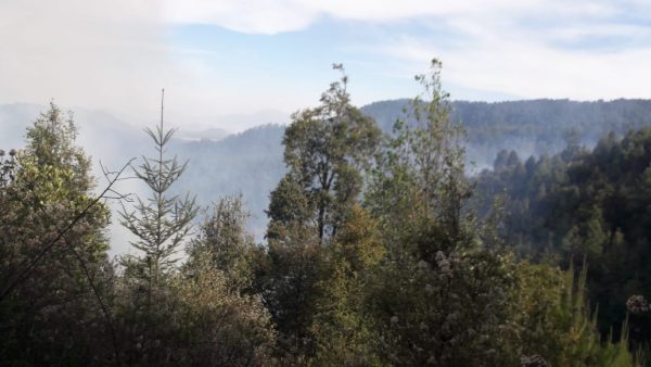 En Tangancícuaro toman medidas preventivas para cuidar medio ambiente y evitar incendios forestales