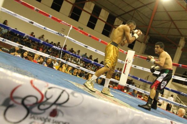 Luis “Monarca” Bedolla consiguió título internacional en box por la vía del cloroformo