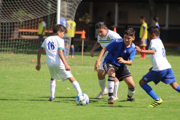 Equipo californiano de fútbol infantil tuvo gira y enfrentó equipos zamoranos Guillermo Ríos, Zamora
