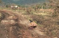 Desconocido es hallado asesinado en los límites de Jacona y Santiago Tangamandapio