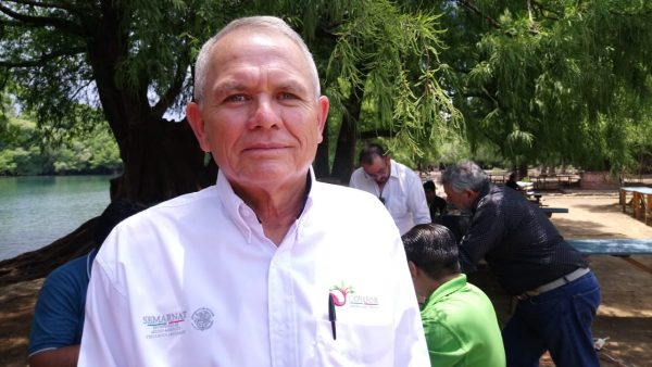 Conafor reforestará 14 mil hectáreas en Michoacán durante temporada de lluvias