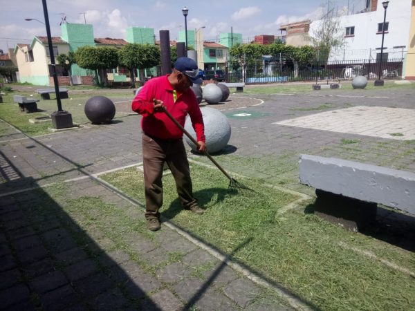 Intensifica el Ayuntamiento trabajos de mantenimiento en áreas verdes de la ciudad