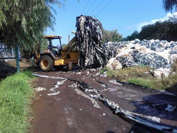 Limpian campo de desechos plásticos en Tangancícuaro