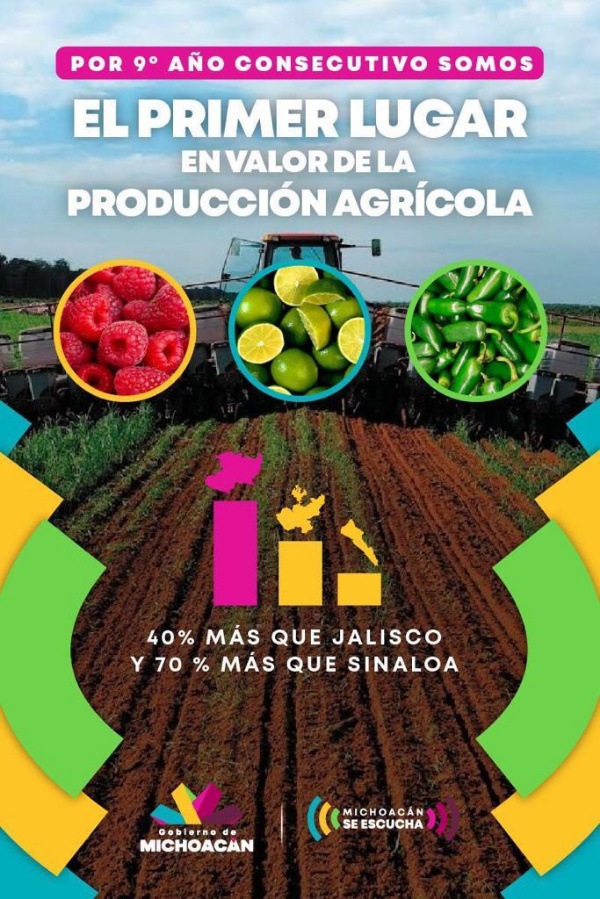 Michoacán, primer lugar nacional en valor de su producción agrícola