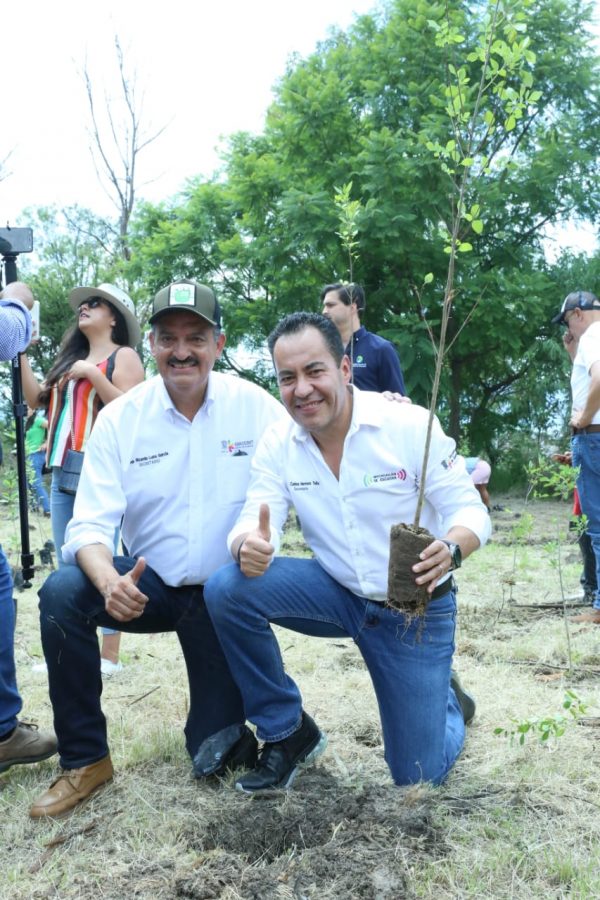 Michoacán, ejemplo nacional: inicia aquí cruzada “Reverdeciendo a Mexico”