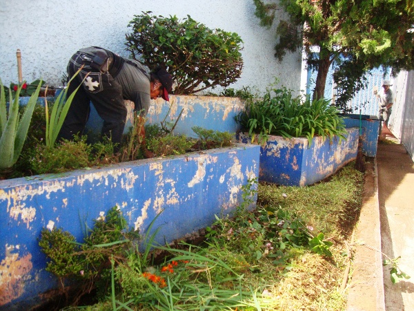 Mantenimiento a Jardines   en Espacios Públicos de Jacona