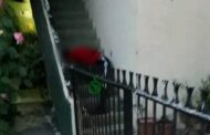Joven es asesinado en las escaleras de su casa en el Infonavit Arboledas