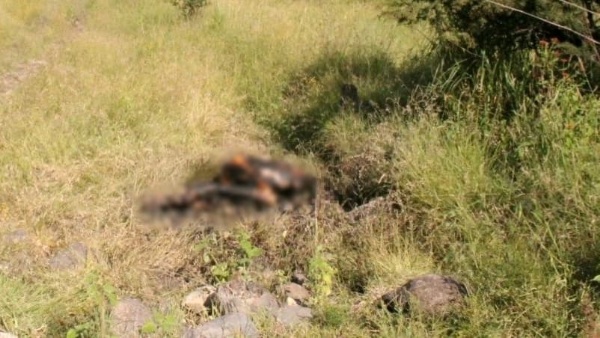 Calcinado y con impactos de bala es hallado cadáver en Jacona