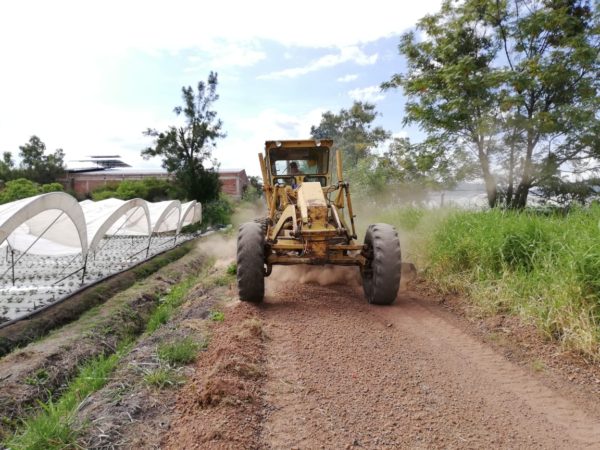 Gobierno local mejora caminos carrileros del ejido de Atecucario
