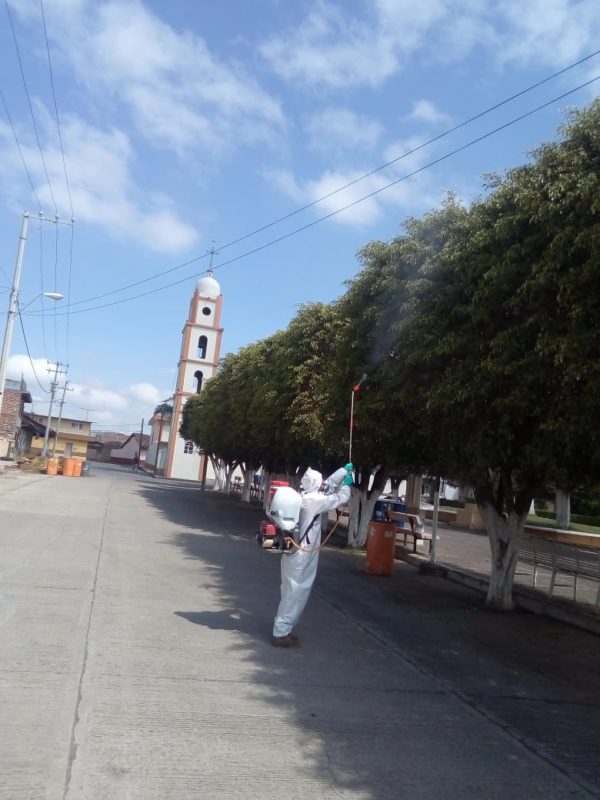 Fumigan árboles en comunidad Gómez Farías de Tangancícuaro