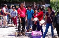 Zamora, la ciudad más animalista del país: Animal Héroes