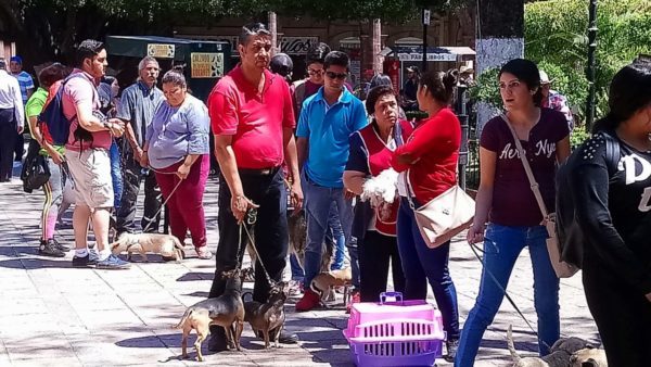 Zamora, la ciudad más animalista del país: Animal Héroes