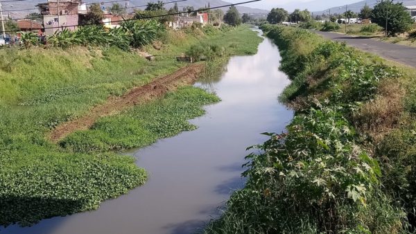 Más de  200 hectáreas  de fresa irrigadas con agua no saneada