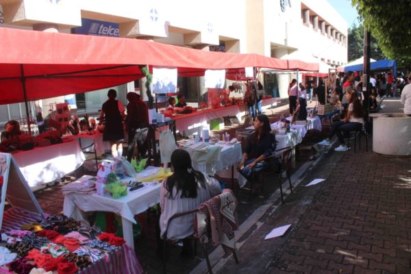 “El Bazarcito” oferta productos y artículos a zamoranos y visitantes