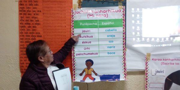 Pocos docentes de primaria en comunidades indígenas no hablan, ni escriben lengua purépecha