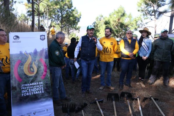 Inicia Michoacán combate a incendios forestales