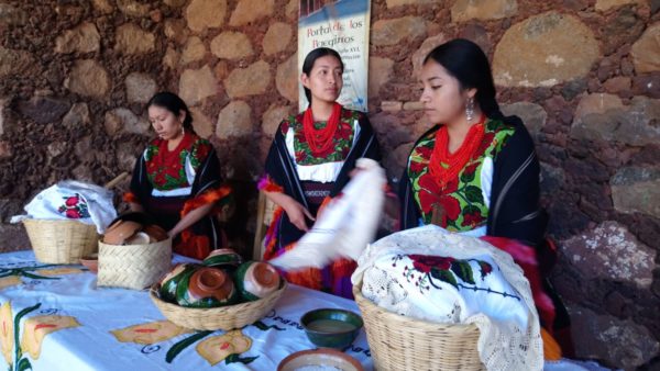 Carece Michoacán de una ley integral indígena