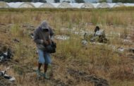 Persiste robo de implementos agrícolas en el campo zamorano