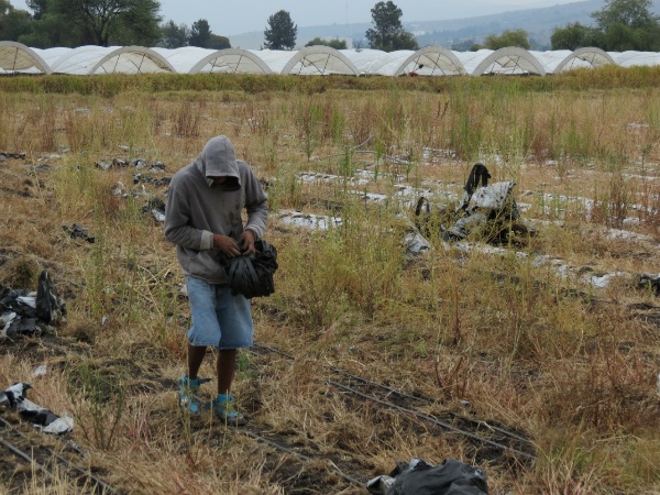 Persiste robo de implementos agrícolas en el campo zamorano