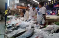 COEPRIS iniciara revisión de pescados y mariscos para descartar cólera