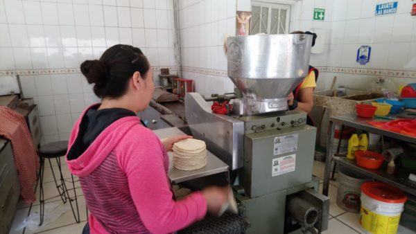 Tortilleros firmes en precio pese a caída en producción y aumento en precio de maíz