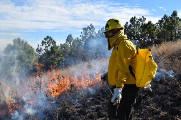 Michoacán, preparado para el combate de incendios forestales