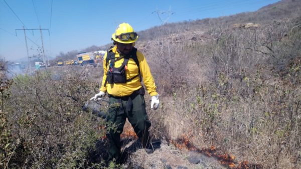 Incendios forestales provocan más de 40 hectáreas siniestradas en este año