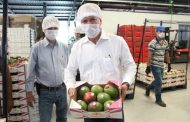 Supervisa Gobierno de Michoacán empaques de exportadores de frutas