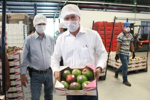Supervisa Gobierno de Michoacán empaques de exportadores de frutas