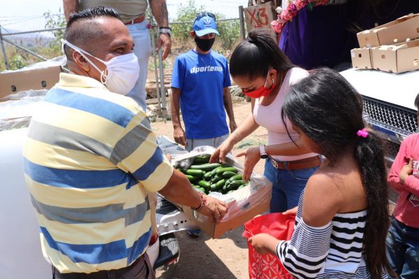 Recibe DIF donación de fruta y realiza entrega a comunidades