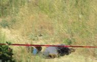 Localizan dos cadáveres baleados y maniatados en el municipio de Jacona
