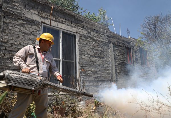 Exhorta SSM a michoacanos a mantener patios y azoteas limpias para prevenir dengue