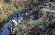 Limpian ríos y canales en Tangancícuaro