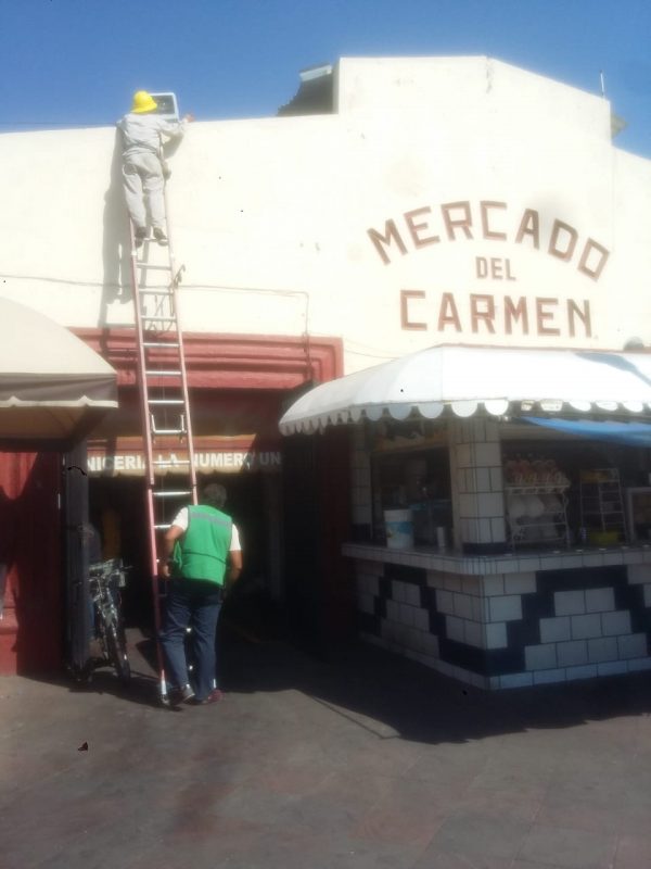 Dan mantenimiento a mercados Hidalgo y El Carmen