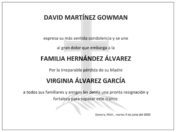 DAVID MARTÍNEZ GOWMAN expresa su más sentida condolencia y se une  al gran dolor que embarga a la  FAMILIA HERNÁNDEZ ÁLVAREZ